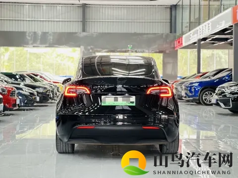 17万不到拿下特斯拉Model Y，体验未来科技出行！-1