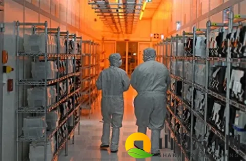 荷兰闯祸！全世界跟着买单-1