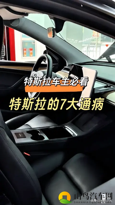 特斯拉车主必看!7大通病实测曝光-1