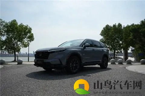 两个大球球抖动直播:奇观呈现:巨型球体激烈震动实时直播-2