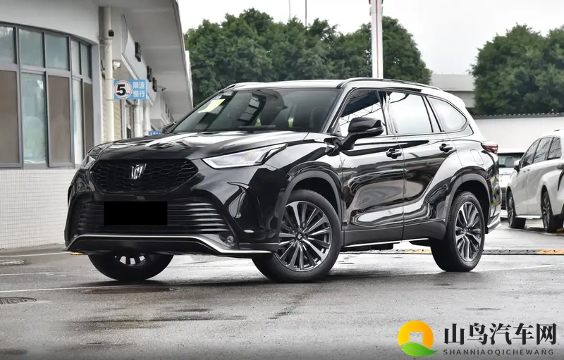 这车购车手册来了，同等价位下，纯燃油、油电混动选哪个？-1