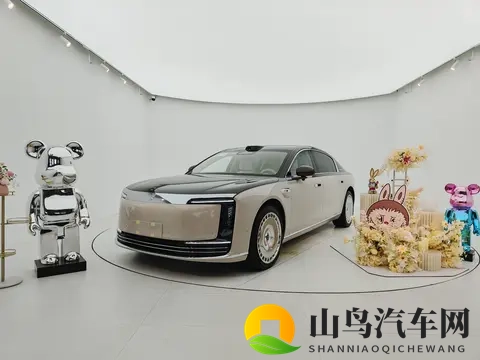 厦门尊享会:尊界s800护底板升级-2