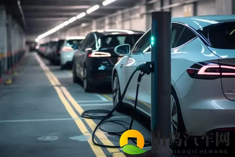 评新能源汽车自燃：安全与发展，我们就是“既要”“又要”  社评-2