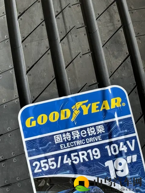 桐桐桐桐铜铜好多,深色,面费：夜幕下的城市新宠,汽车色彩暗流涌动-2