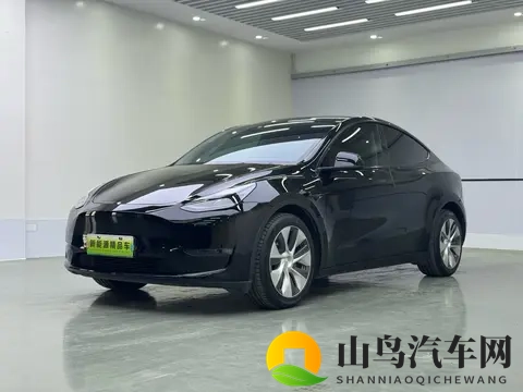 16万多拿下准新特斯拉Model Y，69秒破百，都市代步优选？-3