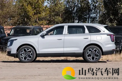 适合家用的7座SUV,空间大,配置高,关键价格还不贵!-3