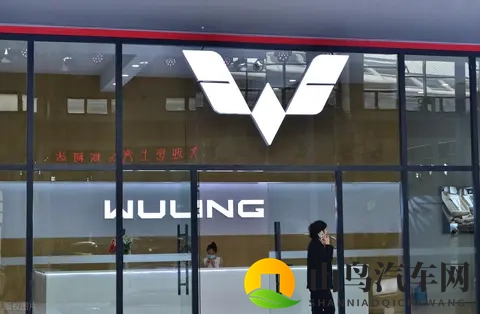 宏光 MINIEV 卖疯了，网友说：这是消费降级了，真的是这样吗？-2