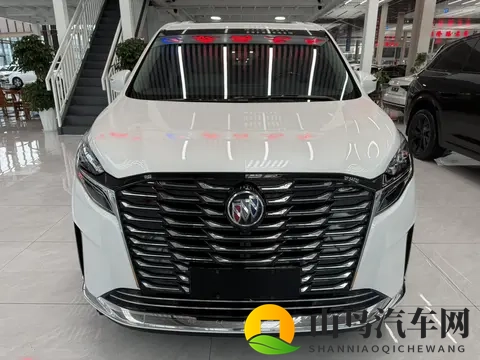 宜商宜家好选择，准新一手别克GL8陆尊-2