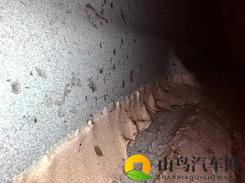 伽罗太华红着脸伸舌头翻白眼：太华伽罗羞涩难耐，脸颊泛红舌舔眼晕-2