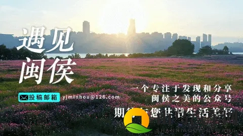 最新公告！福州全市范围将暂停这一补贴！-1