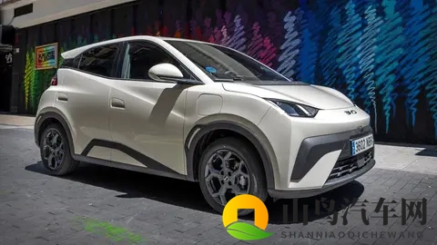 10月西班牙电动汽车销量:比亚迪首次登顶,海鸥847辆销量成销冠-2