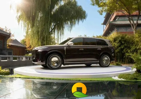 华系旗舰尽显文化自信，岚图泰山诠释豪华真谛-1