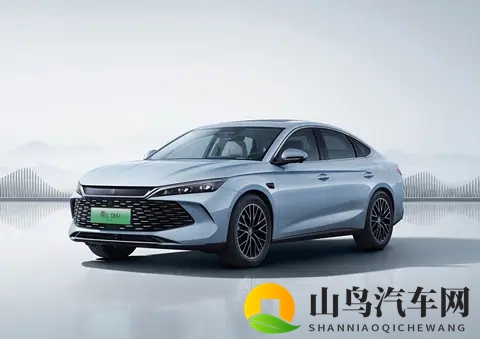 电动车市占率冲6成，老司机死磕到底，99%车主不再回头-3