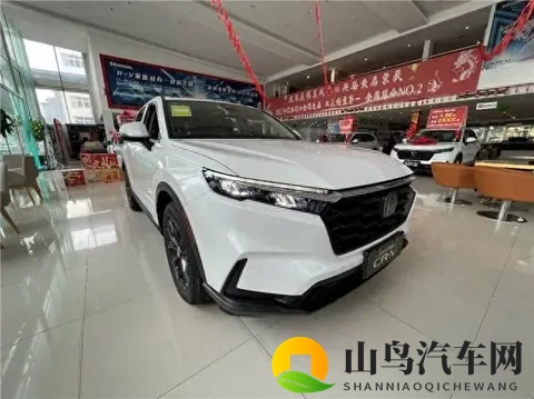 GAY片男同网站www免费：当代购车者如何精准选车-3