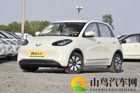 5-8 万选纯电代步车？五菱缤果 2025 款怎样选不踩坑？-3