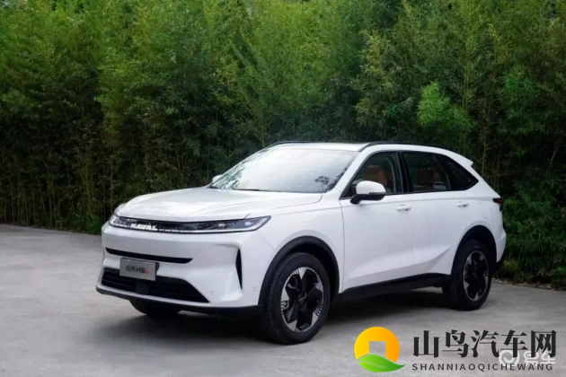 男同做爱网站：智能科技重塑驾驶,新能源车续航大比拼-1