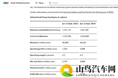 大众集团公布前三季成绩单,相比2024又衰退了?-2
