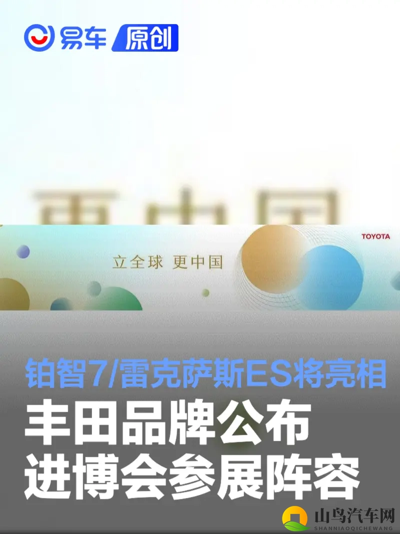 皮鞭调教校花翘臀抽打:底盘调校艺术,让家用车媲美赛道-2