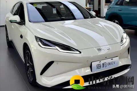 深度推算：比亚迪海豹06Ev成本7万，卖11万，经销商亏本的原因！-1