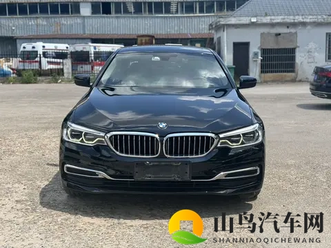 20款宝马5系：10万公里，香槟色外观，18万多开回家！-3
