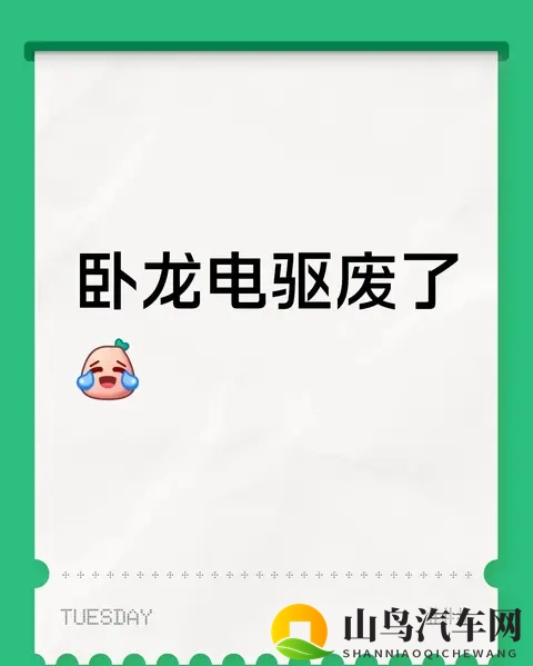 “卧龙电驱废了”？这波调整里，藏着行业和公司的真问题-1