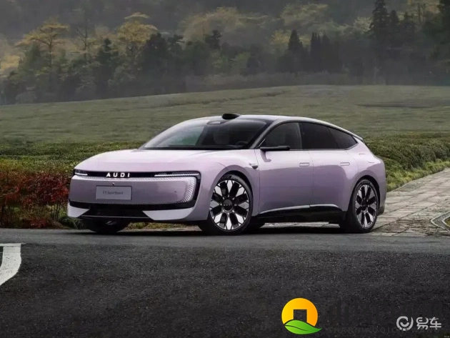 奥迪E电动Sportbackvs特斯拉Model 3-1