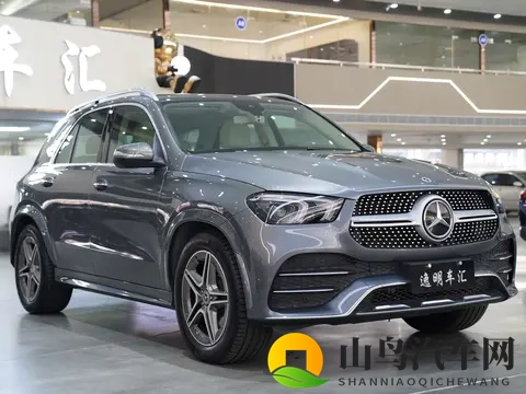 男人和雌性宠物交SSSCHD:汽车安全升级,宠物出行无忧-1