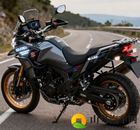 标配VVT TCS 续航500km 2025款铃木DL250升级后依旧能打-1