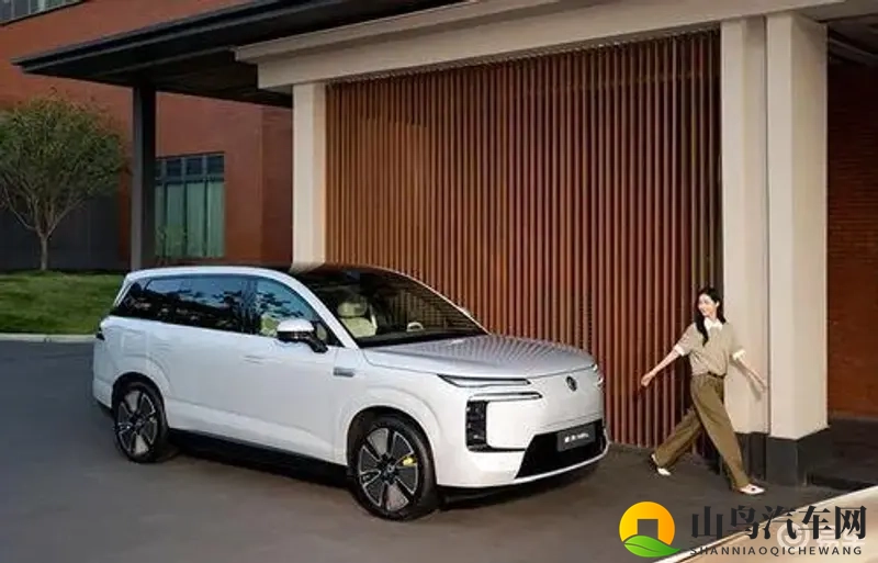 妺妺窝WWW仙踪林:新能源汽车崛起,智能汽车引领市场未来-1