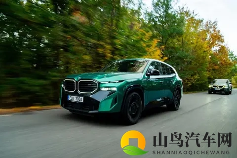 宝马XM车队携10辆炫酷座驾亮相-1