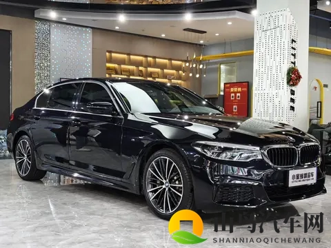 23万拿下宝马5系？圆你豪车梦，家用商务都合适！-3