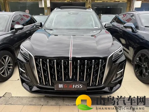 一手准新红旗HS5,11万多体验国产豪华SUV-3