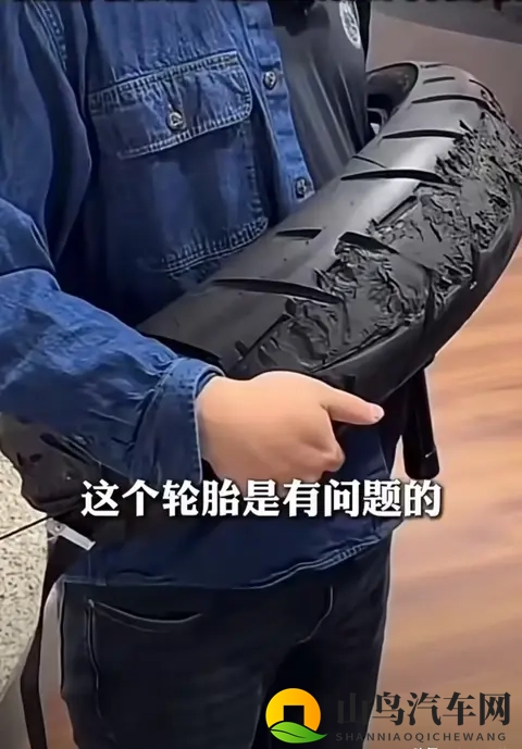 小马大车儿子妈妈：马儿驾车母子情深-3