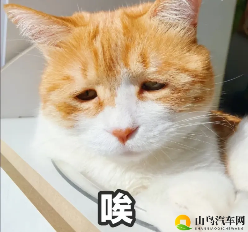 北京现代EO羿欧，迟暮韩系的“秋日挽歌”难成复苏“东风”-1