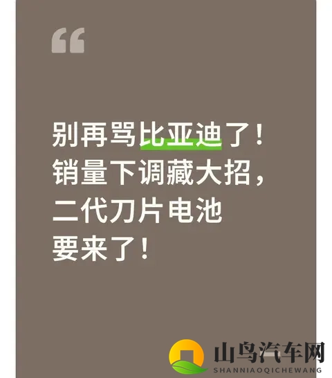 别再骂比亚迪了!销量下调藏大招,二代刀片电池要来了!-1