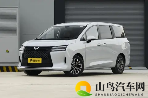 技术赋能家庭出行：星光730 PHEV 125km豪华型价值探析-1