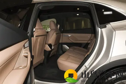 岚图梦想家：打造一款属于中国人自己的高端MPV-1