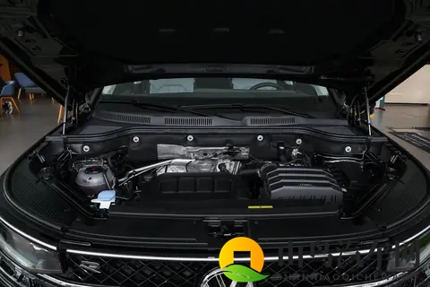 选车不迷茫：2026 款大众揽巡动力配置解析-1