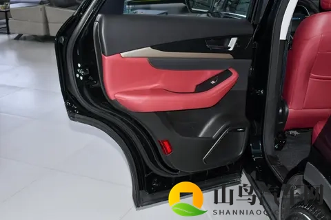 多人口家庭买车看这款，20T+8AT，终身质保，全家出行有它就够了-3