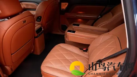 岚图泰山静态体验，都有哪些亮点？-3