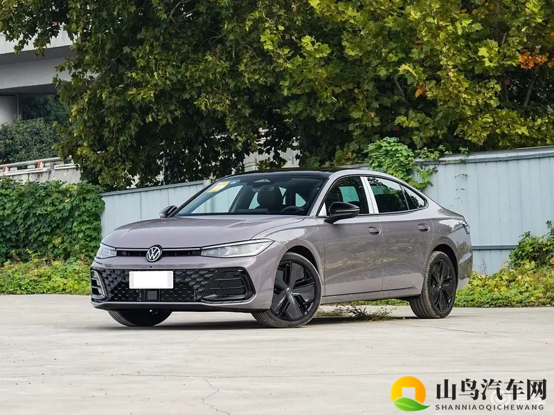 国产AⅤ:中国自主研发先进汽车技术展示-2