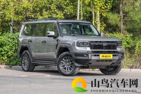 硬派越野,烂路不露怯,这款SUV咋样-3