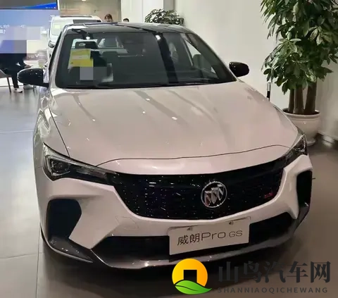 威朗Pro半年用车实录：10万级合资家用车，亮点与遗憾都很真实！-3