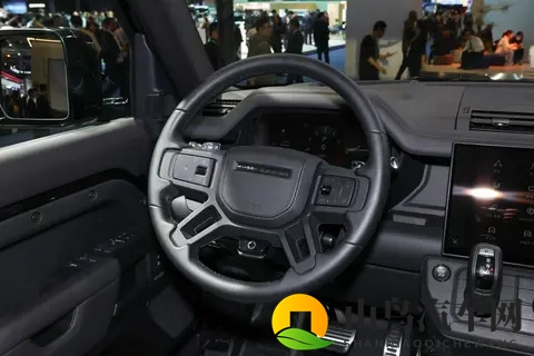 全能硬派 SUV 天花板？路虎卫士选买攻略戳这里！-3