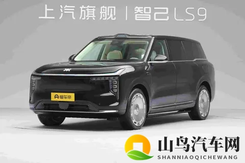 智己LS9预售了，价格比理想低，配置却更狠，这车想干啥？-3