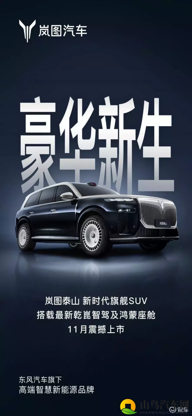 两个男生做酿酿酱酱的电视剧:汽车娱乐新风尚,科技定制潮流来袭-2