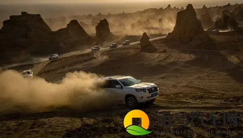 粗大的内捧猛烈进出免费软件：免费软件助阵，激情四溢动作片观看指南-2