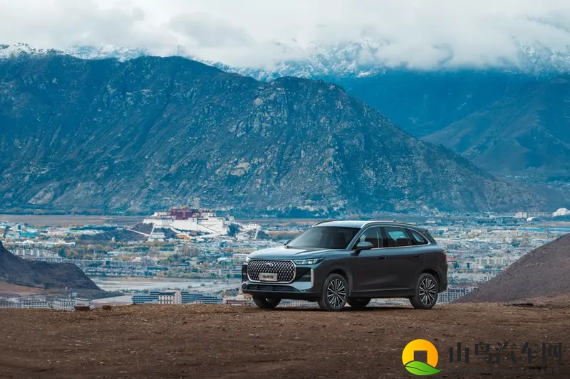 解剖第五代瑞虎8：奇瑞的“燃油车价值保卫战”-1