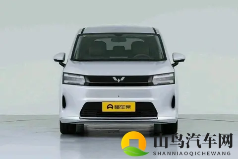 10万级家用MPV标杆!空间大,电滑门,三动力,安全舒适-1