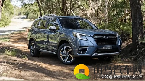 来看看澳大利亚最受欢迎的汽车-3